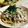 ゆこPIN's cooksnap of when they made オイルサーディンと舞茸の和風パスタ.