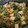 ラフロイグ31年's cooksnap of when they made ヨシダ糀グルメのたれで うま煮.