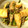 島子☆'s cooksnap of when they made 牛アカセンマイと人参と牛蒡のピリ辛炒め.