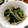 フジぽん's cooksnap of when they made ひじきと小松菜、もやしの炒め物.