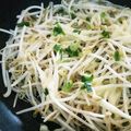 傘海月's cooksnap of when they made ポン酢でさっぱり豚もやしのチーズ蒸し.