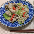 クックZPDEEV☆'s cooksnap of when they made もやしとパプリカとレタスの豚肉炒め.