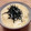 メロンパンマン's cooksnap of when they made とろろご飯.