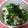 えつエツ's cooksnap of when they made ほうれん草のいそべ和え？.