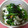 えつエツ's cooksnap of when they made ほうれん草のいそべ和え？.