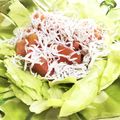 みっくママ's cooksnap of when they made 湘南流しらすとトマトのマリネサラダ.