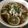 ぷりまめ's cooksnap of when they made さっぱり！豚しゃぶ冷製かけうどん.