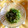 ぽぽきゅ's cooksnap of when they made おくらとめかぶと塩昆布の和え物.