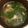 大王イカ's cooksnap of when they made 美味★ほうれん草と舞茸のスープ.