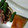 ｱﾕﾁﾝ's cooksnap of when they made いんげんとハムとしめじのマヨポン炒め.