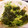 つばさじゅん's cooksnap of when they made 豆苗とツナの炒め物.