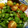 Yurinnko♩'s cooksnap of when they made オクラとトマトの簡単めんつゆ浸し♪.