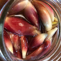 さわちゃん0206's cooksnap of when they made ＊べんりで酢 みょうがの甘酢漬け＊.