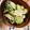 coco∵'s cooksnap of when they made わかめ＆きゅうり＆ツナのマヨポン和え♪.