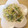 るりご's cooksnap of when they made もやしと生青梗菜のゴマみそ和え.
