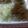 ☆ラム☆'s cooksnap of when they made 豚丼風カフェごはん.