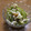 huto☆'s cooksnap of when they made 茎わかめとしらすと茗荷.