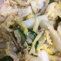 プチプチみかん's cooksnap of when they made 白菜ときゅうりとツナのサラダ.