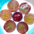 Cook★Robin's cooksnap of when they made ヨーグルトに1番合うのは巨峰?!.