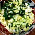 りく君まま's cooksnap of when they made ミョウガが美味しい白菜サッパリ浅漬け☆.