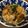 ヴィーナスけい's cooksnap of when they made 牛肉とれんこんの生姜混ぜごはん♡.
