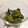 すづな❥❥'s cooksnap of when they made カボチャの皮のバターしょうゆ炒め。.