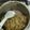 hotmotto55's cooksnap of when they made フィスラーの圧力鍋で美味しい玄米炊き.