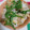ぷっちかおりんご's cooksnap of when they made 簡単♪白だしで茗荷ごはん.