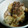 かぴーな's cooksnap of when they made さばの水煮缶とキャベツの煮物.