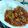 クックVSRB8Y☆'s cooksnap of when they made トマト缶でハヤシライス.
