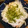 mkoo3's cooksnap of when they made 簡単 トマトと酢玉ねぎであと一品.