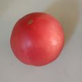 megcookmeg's cooksnap of when they made トマトは凍らせて保存.