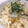 ぴよっぴよ's cooksnap of when they made あさりの炊き込みご飯.