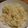 スズラン♪'s cooksnap of when they made ツナとしょうがだけの炊き込みご飯.