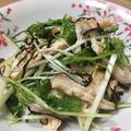 o0oあやかo0o's cooksnap of when they made レンジで簡単☆水菜と鶏胸肉の塩こんぶ和え.