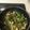 piglegs's cooksnap of when they made 甘じょっぱい♡サツマイモと豚肉の甘酢炒め.