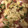 このよ's cooksnap of when they made うまうま～♪スパムの野菜炒め.