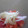 サラディナーサ's cooksnap of when they made トマトと新玉マリネ♪.