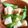 きよめな's cooksnap of when they made ホク旨！じゃが芋とモロッコ隱元の土佐煮♪.