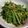patepateco's cooksnap of when they made 【簡単】モロヘイヤの茎でもう一品.