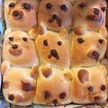 ミセスらいむ's cooksnap of when they made かわいいくまちぎりパン！.
