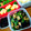 ママぶた's cooksnap of when they made ❇なすときゅうりの漬物♪❇.