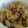 Azaa's cooksnap of when they made おでんの美味しい出汁で　簡単炊き込みご飯.
