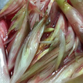 クックSXM10J☆'s cooksnap of when they made 茗荷の梅酢漬け.