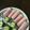 ポメちょん's cooksnap of when they made お弁当の隙間に☆ハム巻ききゅうり.