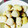 クックASCLT9☆'s cooksnap of when they made 肩コリなし！！栗の皮むき♪.