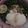クック26RDO4☆'s cooksnap of when they made 基本のうどんだし！.