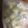 tayuko310's cooksnap of when they made 冷凍庫から！つまみ食い冷凍バナナ♡.
