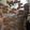 み★★★★'s cooksnap of when they made 簡単★米粉クッキー.