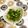 ぽぽきゅ's cooksnap of when they made 簡単∑(゜Д゜えのき＆大根おろし＆ポン酢.